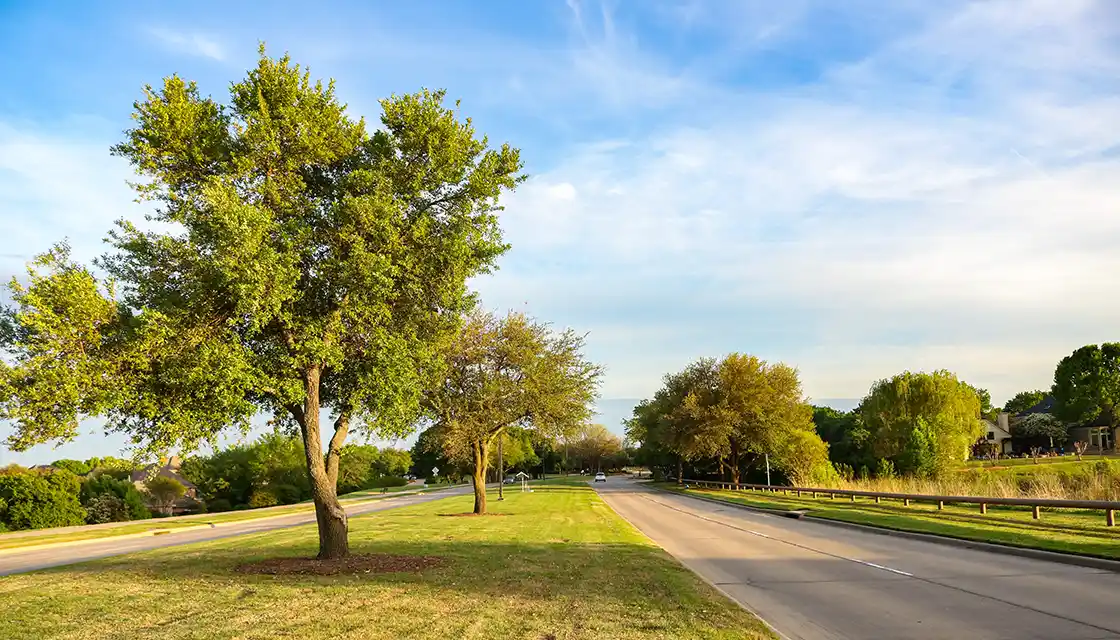 McKinney TX HOA Management Company Country Road