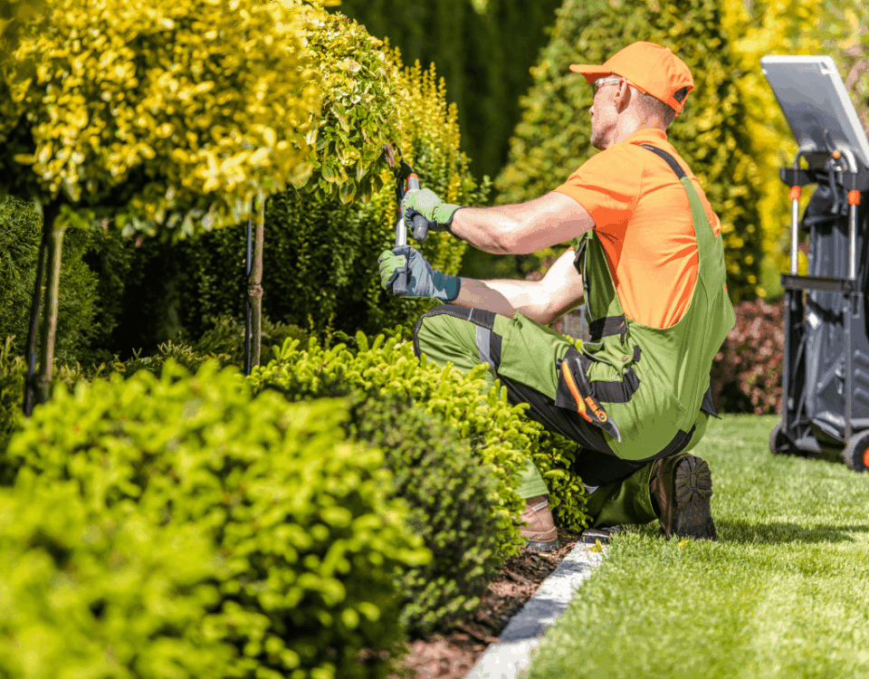 Landscaper trimming shrubs in a well-maintained residential garden, representing HOA landscaping and common area upkeep.